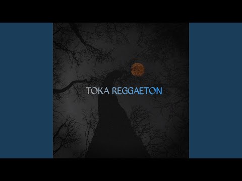 TOKA REGGAETON