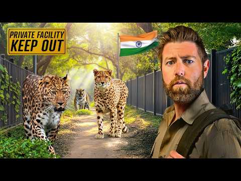 Private Tour of Billionaire's Secret Animal Sanctuary in India