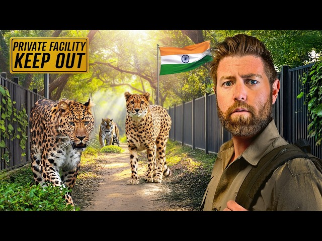 Private Tour of Billionaire's Secret Animal Sanctuary in India SDDEFAULT Thumbnail