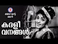 KADALEEVANANGAL OTHENANTE MAKAN Vayalar G Devarajan P Susheela