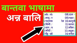 Learn Bantawa Rai Language|Name Of Crops In Bantawa Language|राई भासा सिक्नुहोस ।