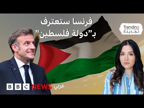 فيديو | دونالد ترامب يرفض خطة ماكرون للاعتراف بدولة فلسطينية.. فكيف تفاعل المجتمع الدولي مع القرار؟