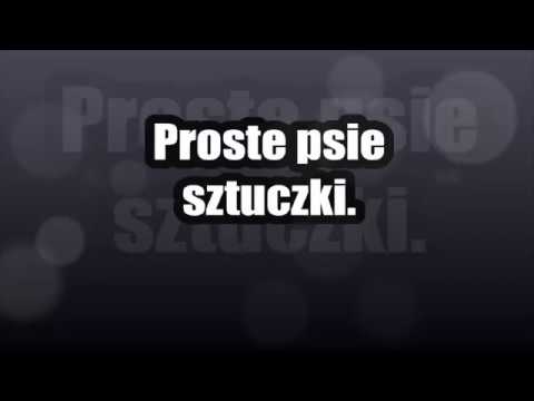 Proste psie sztuczki