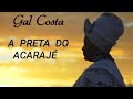 Gal Costa - A Preta Do Acarajé
