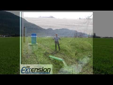 Cover Crop Update Spring 2021