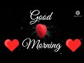 Beautiful Good Morning Lovely Whatsapp Status Sweet Short Video
