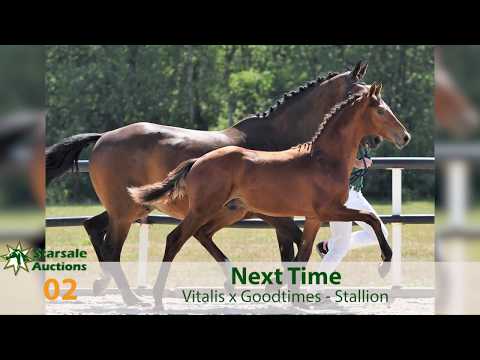 02. Next Time (Vitalis x Goodtimes)