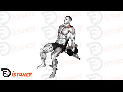 Shrugs haltères sur banc incliné - Exercice Shrugs haltères sur banc incliné en vidéo