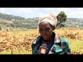 Funny Kipsigis Woman
