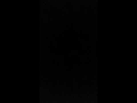 SEA TURTLE LAYING EGGS