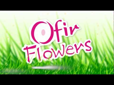 Ofir Flower