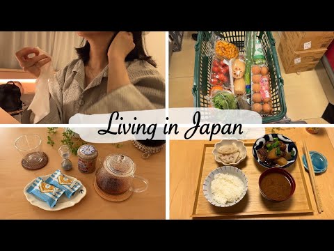 my culture shock after years, troublesome but delicious braised beef tendon | living in japan