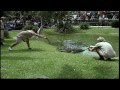 Australia Zoo VIP Tour