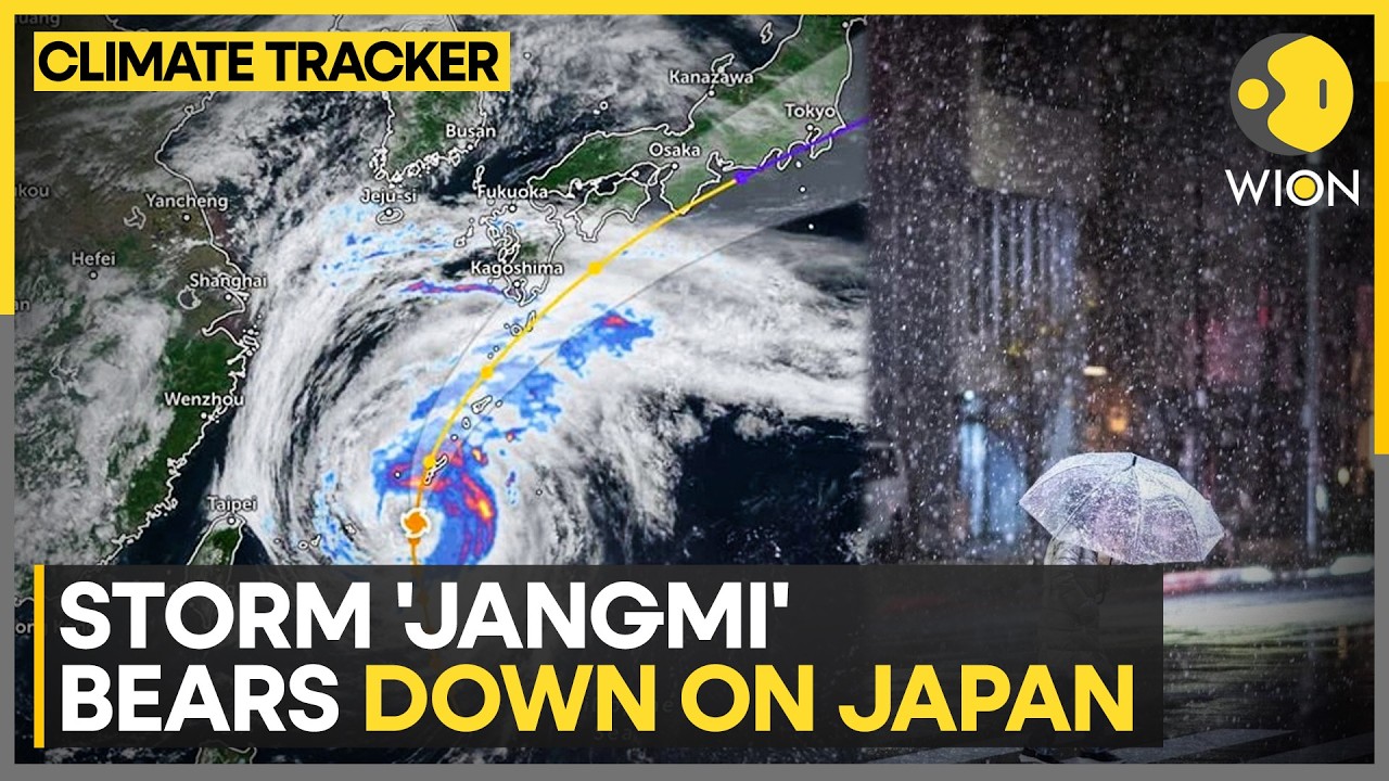 Storm Jangmi Bears Down On Japan, Transport Disrupted In Okinawa | WION Climate Tracker