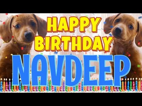 Happy Birthday Navdeep! ( Funny Talking Dogs ) What Is Free On My Birthday