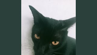 Download lagu Where me mp3