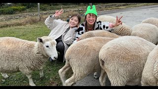 最新ニュース -  白石麻衣、理想の馬尻をなでて堪能「いいお尻ですね」