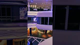 Galleria Msc World Europa ⛴️ #mscworldeuropa #cruiselife