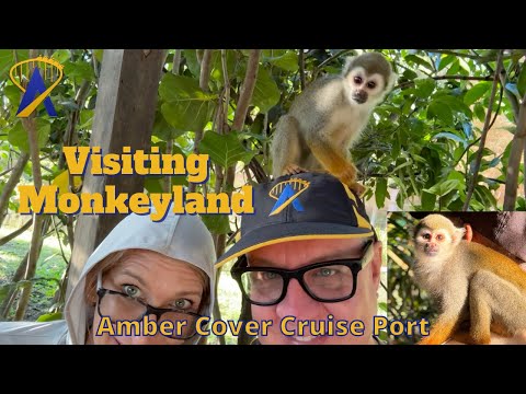 Monkeyland Excursion at Amber Cove Cruise Port