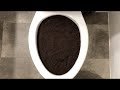 Will It Flush McDonalds McCafe Coffee
