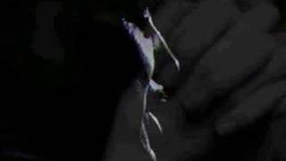 Tennessee Ernie Ford - Wayfaring Stranger