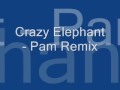 Crazy Elephant Pam Remix 