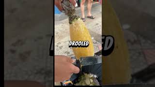 Download lagu #giveaway mp3