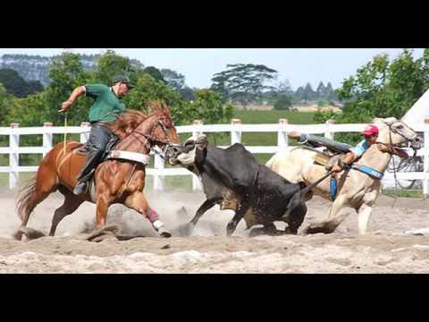 Vaquejada - Francis Lopes Caboclo encorajado