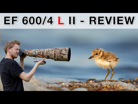 Best lens purchase ever? My switch from Canon EF 500/4 L IS to Canon EF 600/4 L IS II (review)