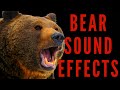 BEAR SOUND EFFECTS Bear Roaring And Growling Sound