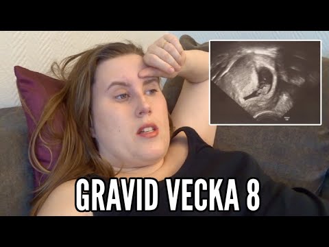 IVF-GRAVIDITET VECKA 8 | Extremt gravid-illamående och tidigt UL