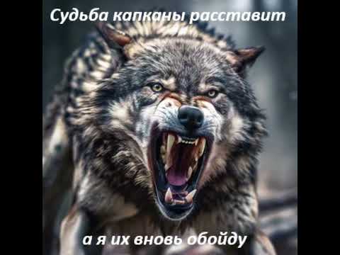 Garik Garik...Судьба капканы расставит,а я их вновь обойду.