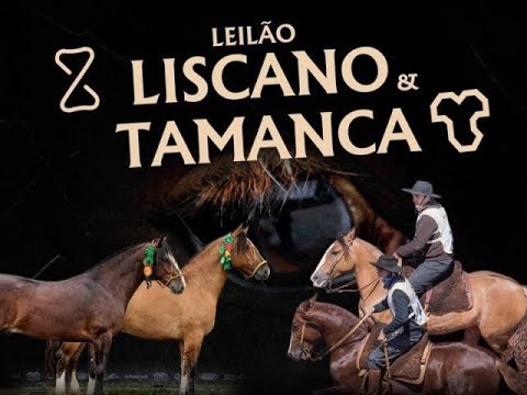 Leilão Liscano & Tamanca
