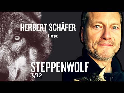 DER STEPPENWOLF Hermann Hesse (Teil 3) "Wer jagt den Wolf?"