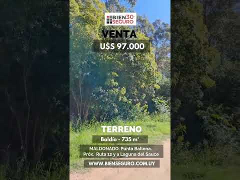 Terreno en venta Punta Ballena