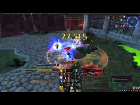 World of Warcraft PvP - 5.3 BM Hunter PvP Arenas #5 BM Hunter / Ret Paladin 2v2