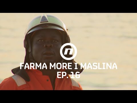 Gašenje požara na farmi - Epizoda 1 | Farma More i Maslina
