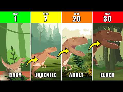 T-Rex Life Journey Story | Dino Animation