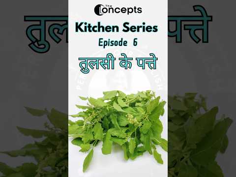 "Bay - Zill? Freshness in every dish!" 🌿✨