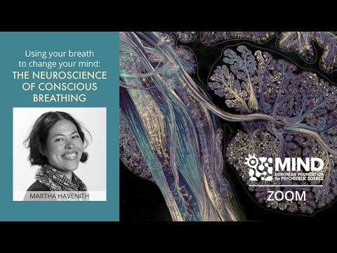 The Neuroscience of Conscious Breathing | Dr. Martha Havenith