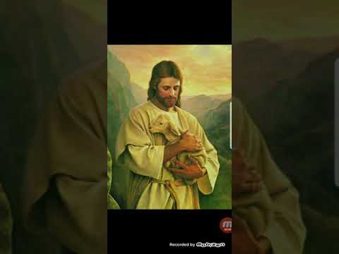 Jesus als Vorbild für alle: Leidenschaftliches Plädoyer für Jesus