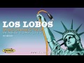 Los Lobos - La Bamba / Good Lovin' [medley ...