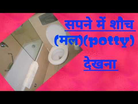 सपने  में  शौच देखना.सपने  में  मल,पखाना, लैटरिन देखना. Seeing  poop(pooty) in dreams.