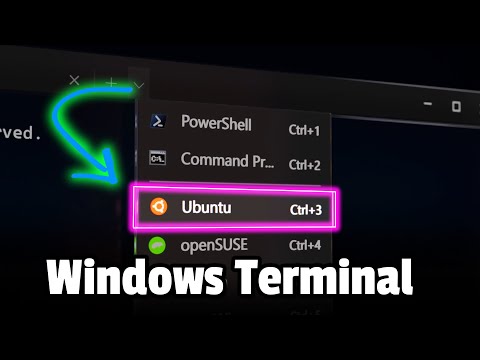 windows terminal install