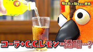 【大人も面白い】子供向け科学雑誌の世界 ~有隣堂しか知らない世界124~