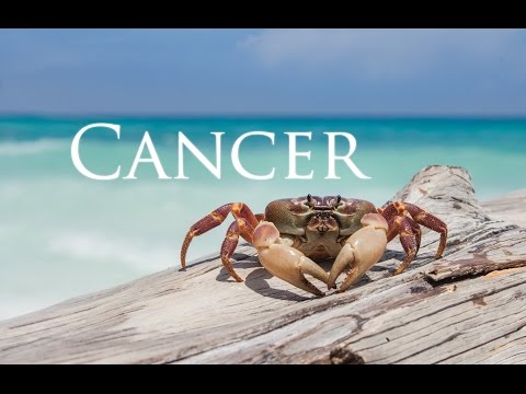 ALL About Cancer