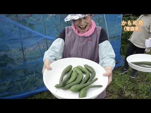 かもめ苑紹介動画