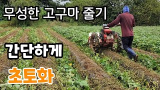 간단하게 무성한 고구마 줄기! 초토화 넝쿨파쇄기
