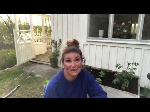 Odla I Pallkrage Fixa En Komplett Liten Köksträdgård På 10 Min