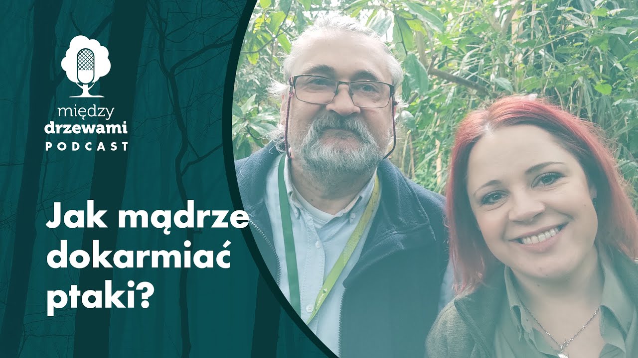 Między drzewami #51 Jak mądrze dokarmiać ptaki [dr Andrzej Kruszewicz] | PODCAST